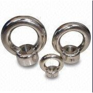 stainless steel Eye nuts